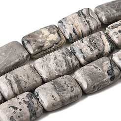 天然な地図の石のビードの繊維  長方形  18x13x5.5mm  穴：1mm  約11個/連  7.68''~7.87''（19.5~20センチメートル）&nbsp;G-S386-A13