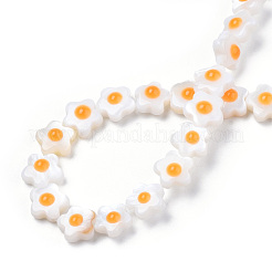 天然淡水シェルビーズ連売り  片面エナメル  花  オレンジ  6.5~7x6.5~7x3mm  穴：0.7mm  約56~63個/連  13.62インチ〜15.55インチ（34.6~39.5cm）&nbsp;SHEL-N003-31A-01
