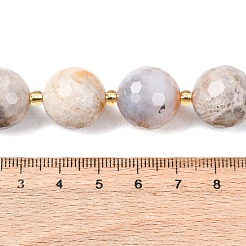 天然化石サンゴのビーズ連売り  多面カット  ラウンド  シードビーズで  15~16mm  穴：1.4~1.6mm  約21個/連  15.35~15.94インチ（39~40.5cm）&nbsp;G-C249-A27-16MM