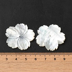 ナチュラルホワイトシェルビーズ  花  ホワイトスモーク  31x31x3mm  穴：0.5mm&nbsp;SHEL-M021-08B