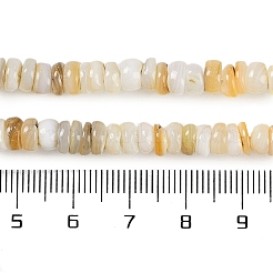 天然淡水シェルビーズ連売り  ロンデル  フローラルホワイト  5.5~6x2~3.5mm  穴：0.8mm  約150~155個/連  14.96~15.75''（38~40センチメートル）&nbsp;BSHE-H109-13B