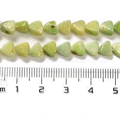 天然ドロマイトビーズ連売り  染め  三角形  黄緑  5.5~6x6~6.5x3mm  穴：1mm  約72個/連  16.14インチ（41cm）&nbsp;G-F765-H04-01