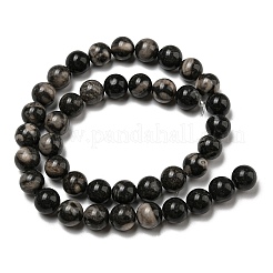 天然黒化石サンゴビーズ連売り  ラウンド  10mm  穴：1.4mm  約40~41個/連  15.47~15.75''（39.3~40センチメートル）&nbsp;G-R494-A04-04