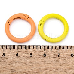 スプレー塗装された合金製スプリングリング留め具  丸いリング  ミックスカラー  23x4mm&nbsp;FIND-G084-01