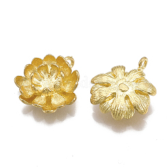 真鍮チャーム  ニッケルフリー  花  生（メッキなし）  18.5x17.5x5.5mm  穴：2mm&nbsp;KK-S349-049-NF