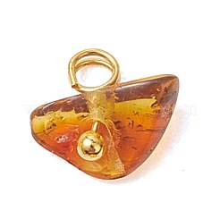 天然琥珀チップチャーム  真鍮のループを有します  ゴールドカラー  7.5~8.5x5~7x7~13mm  穴：1.8mm&nbsp;PALLOY-JF05061