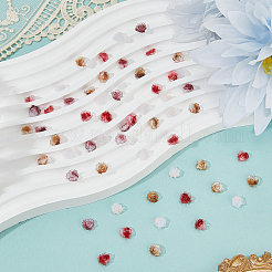 200色の花の樹脂カボション4個  ネイルアートの装飾の付属品  ミックスカラー  8x7.5x3mm  50個/カラー&nbsp;MRMJ-CY0001-01