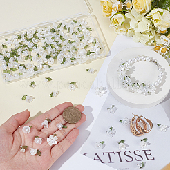 160個8スタイルアクリルパーツ  花  真鍮の金具とプラスチックのビーズ付き  銀  10x6.5~12mm  穴：1.5~2.3mm  20個/スタイル&nbsp;FIND-SC0021-55S