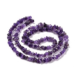 天然のアメジストさざれ石のビーズ連売り  5~8x5~8mm  穴：1mm  約31.5インチ&nbsp;G-M205-58