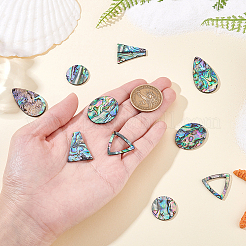 10個 5種類の天然パウア貝カボション  混合図形  カラフル  19~26x19~22x2mm  2個/スタイル&nbsp;FIND-GA0004-93