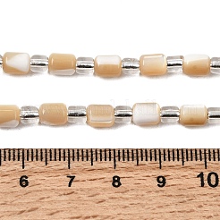 天然トロチッドシェル/トロカスシェルビーズ連売り  シードビーズで  コラム  砂茶色  6x5mm  穴：1mm  約18個/連  7.28''（18.5センチメートル）&nbsp;BSHE-A002-02B