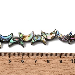 天然アワビ貝とパウア貝のビーズの連  三日月  カラフル  12~12.5x8~8.5x3~3.5mm  穴：0.5mm  約35個/連  12.99''（33センチメートル）&nbsp;SSHEL-M021-08A