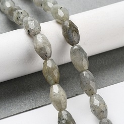 天然石ラブラドライトビーズ連売り  多面カットコメ  12.5x8mm  穴：1.2mm  約16個/連  7.68''（19.5センチメートル）&nbsp;G-P520-C08-01