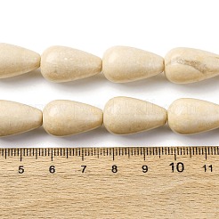 天然石フォッシルビーズ連売り  ティアドロップ  19.5~20.5x12mm  穴：1.2mm  約20個/連  15.94''（40.5センチメートル）&nbsp;G-F808-D01-02