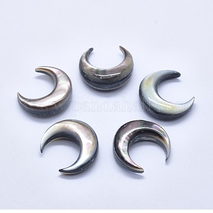 天然石ブラックリップシェルカボション  ムーン  18~22x16~19x2~8mm&nbsp;SSHEL-P015-80B-20mm-1