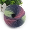 Gradient Color Wool Thread, Section Dyed Icelandic Wool Thread, Soft and Warm, for Hand-woven Shawl Scarf Hat, Colorful, 2mm