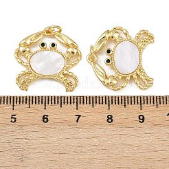 真鍮チャーム  シェルと  18KGP本金メッキ  カニ  貝殻色  21.5x21x2.5mm  穴：3mm&nbsp;KK-C109-04G-01