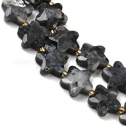 天然ラルビカイトビーズ連売り  多面カット  スター  シードビーズで  14~15x14x6mm  穴：1mm  約27個/連  15.94''（40.5センチメートル）&nbsp;G-P573-C11-01