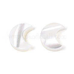 天然トロカスシェルビーズ  ムーン  貝殻色  12x9.5x3mm  穴：0.9mm&nbsp;BSHE-E026-13