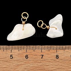 天然石シェルペンダント  ナゲットチャーム  環境に優しい銅線と304ステンレス鋼製のオープン丸カンを使用  ゴールドカラー  16~29x7~22x3~6.5mm  穴：3.5mm&nbsp;PALLOY-JF05923