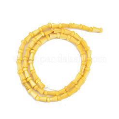 天然淡水シェルビーズ連売り  染め  キノコ  ゴールド  7.5x4mm  穴：0.7mm  約50個/連  14.76インチ（37.5cm）&nbsp;SHEL-G013-02H