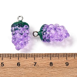 透明樹脂ペンダント  ブドウ  透明な鉄製のループ付き  スミレ  24x12.5x11.5mm  穴：2mm&nbsp;RESI-P045-08P-01