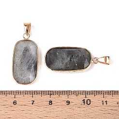天然石ラブラドライトペンダント  ファセット加工された長方形の宝石チャーム  真鍮製の金具付き  ゴールドカラー  30.5~31.5x14.5~15.5x5.5~6.5mm  穴：7x4mm&nbsp;G-N349-03C-G