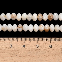 天然淡水シェルビーズ連売り  ロンデル  貝殻色  6x4mm  穴：0.5mm  約97個/連  15.43インチ（39.2cm）&nbsp;SHEL-C010-04A-01