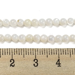 天然淡水シェルビーズ連売り  ラウンド  3mm  穴：0.6~0.8mm  約126個/連  14.96''（38センチメートル）&nbsp;BSHE-Z005-02