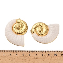 304ステンレススチールアクリルパーツ  巻き貝  イオンプレーティング（ip）  18KGP本金メッキ  48x35x6mm  穴：1.4mm&nbsp;STAS-C152-27A-G