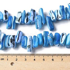 染色された天然トロクスシェルビーズ連売り  ナゲット  ディープスカイブルー  9~21x5~7x6~8mm  穴：1.2mm  約54~67個/連  14.76~15.24インチ（37.5~38.7cm）&nbsp;SSHEL-C013-09F