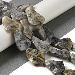 天然石バンブーアゲート竹葉瑪瑙ビーズ連売り  ウェーブ台形  29.5~30.5x21~23.5x6.5~7.5mm  穴：1.2mm  約13個/連  15.35~15.47''（39~39.3センチメートル）&nbsp;G-NH0014-F01-01