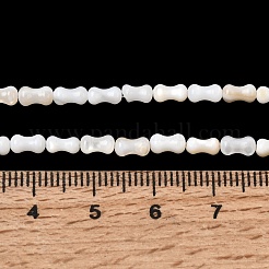 天然淡水シェルビーズ連売り  ピーナッツ  貝殻色  5.5~6x3~3.5mm  穴：0.5mm  約65~66個/連  14.57~15.16''（37~38.5センチメートル）&nbsp;SHEL-A006-04A