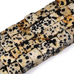 天然石ダルメシアンジャスパービーズ連売り  キューブ  8~9x8~9x8~9mm  穴：1.2mm  約47~49個/連  15.35~15.79''（39~40.1センチメートル）&nbsp;G-T139-8x8-17A