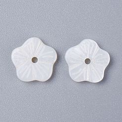 天然淡水シェルビーズ  花  10x2mm  穴：1.2mm&nbsp;X-BSHE-I016-06
