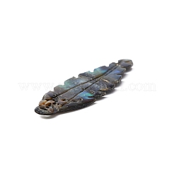 天然パウアシェルペンダント  葉  40x10x1mm  穴：1mm&nbsp;SSHEL-WH0003-02