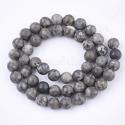 天然のマイファナイト/マイファンストーンビーズ連売り  ラウンド  染め  8~8.5mm  穴：1mm  約47個/連  15.5インチ&nbsp;X-G-Q462-8mm-21