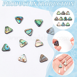 天然アワビ貝/パウア貝ビーズ 10個  三角形  13x14.5x3.5mm  穴：1mm&nbsp;SSHEL-BC0001-29
