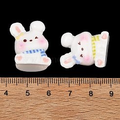 オペーク樹脂カボション  ウサギ  ミックスカラー  22x17x14.5mm&nbsp;RE-C001-02