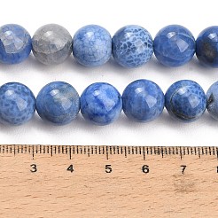 天然の火瑪瑙（染色・加熱）ビーズ連売り  スムーズなラウンド  コーンフラワーブルー  12mm  穴：1.3mm  約33個/連  15.55''（39.5センチメートル）&nbsp;G-K425-A04-12mm