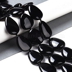 天然の黒い宝石ビーズ連売り  ティアドロップ  28.5~29x21~22x10~11.5mm  穴：1mm  約13個/連  15.94''（40.5センチメートル）&nbsp;G-Q164-C01-02