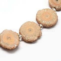 天然のドゥルージークォーツクリスタルビーズ連売り  ソーラークオーツ  染め  ナゲット  14~22x13~20x4~6mm  穴：1.5~2mm  約9~12個/連  7.7~7.9インチ（19.5~20cm）&nbsp;G-F582-A13