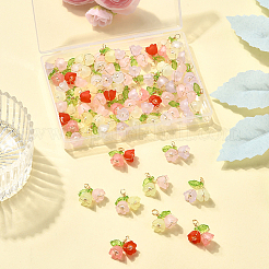 ツートンアクリルパーツ50個  花  艶消し  ABSプラスチック模造真珠と銅線付き  ミックスカラー  17x18.5x9mm  穴：4mm&nbsp;FIND-SC0019-74