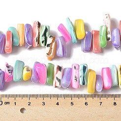 染色された天然トロクスシェルビーズ連売り  ナゲット  ミックスカラー  9~21x5~7x6~8mm  穴：1.2mm  約54~67個/連  14.76~15.24インチ（37.5~38.7cm）&nbsp;X-SSHEL-C013-09G