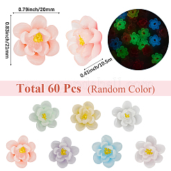 60個の蓄光透明エポキシ樹脂デコデンカボション  暗闇で光る  花  ミックスカラー  20x21x10.5mm&nbsp;CRES-SC0003-04