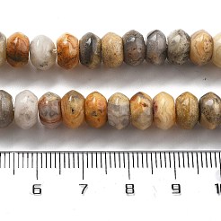 天然石クレイジーアゲートビーズ連売り  ソーサービーズ  8x5mm  穴：0.6mm  約40個/連  7.76''（19.7センチメートル）&nbsp;G-P559-A05-01