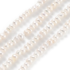 天然養殖淡水パールビーズ連売り  ポテト  古いレース  2~2.5mm  穴：0.5mm  約90個/連  7.80~7.95インチ（19.8~20.2cm）&nbsp;PEAR-C003-04C