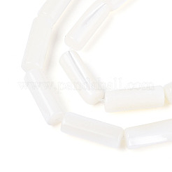 天然トロチッドシェル/トロカスシェルビーズ連売り  コラム  漂白  ホワイト  16~18.5x6mm  穴：0.9mm  約24個/連  15.28~15.67''（38.8~39.8センチメートル）&nbsp;BSHE-T014-06A