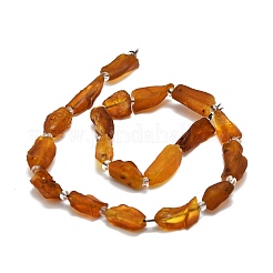 天然琥珀ビーズ連売り  ナゲット  10~18x9~13x5~8mm  穴：0.8mm  約24個/連  15.35''（39センチメートル）&nbsp;G-E576-62