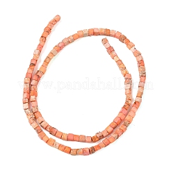 ナチュラルインペリアルジャスパービーズ連売り  染め  キューブ  鮭色  3x3x3mm  穴：1mm  約127個/連  15.75''（40センチメートル）&nbsp;GG-CBA6BAC-G04-03